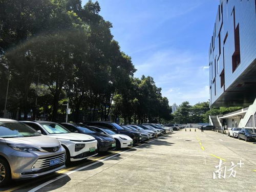 广东省博物馆回应车库禁停新能源车 基于消防安全要求，非歧视性政策